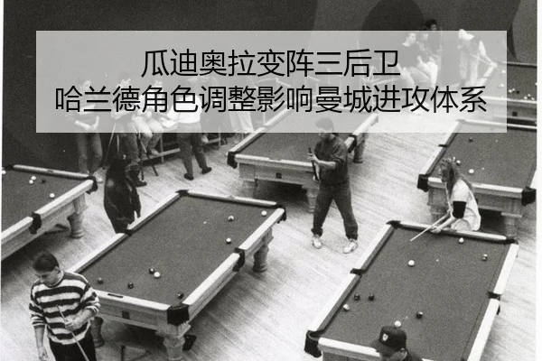 gua-di-ao-la-bian-zhen-san-hou-wei-ha-lan-de-jue-se-tiao-zheng-ying-xiang-man-cheng-jin-gong-ti-xi-3-581.jpg